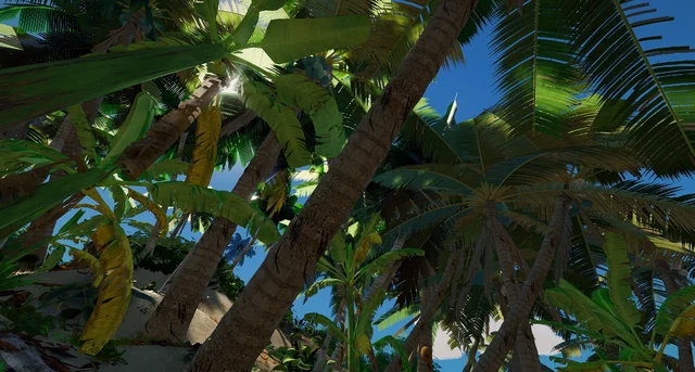 Palm tree crowns seen from below, with the sun through the leaves