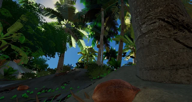A coconut on the ground, at the foot of a palm tree
