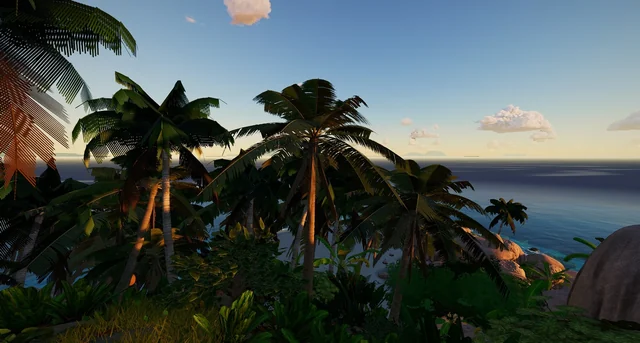 Palm trees from the top of the island, with the sea behind