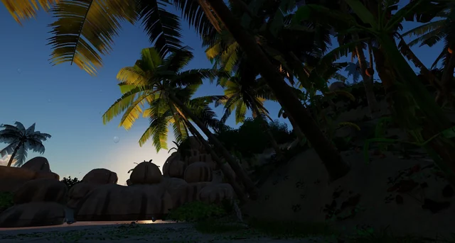 Palm trees and rocks against the light, with the sun behind them