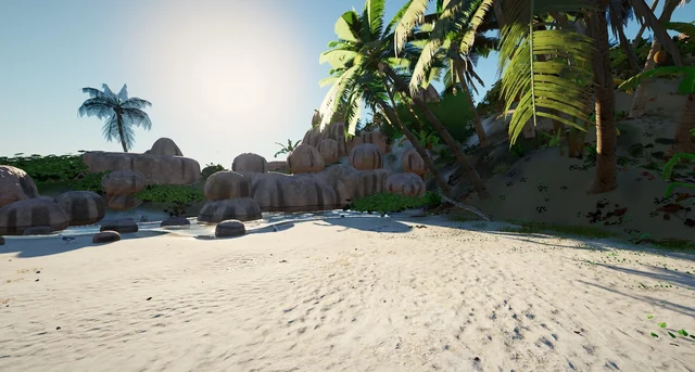 The white sand beach, with rocks and palm trees in the sun