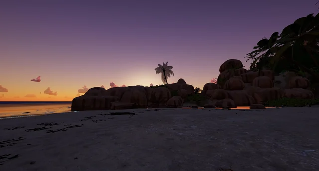 Rocks and a palm tree against the light, with the sun setting over the beach